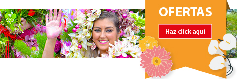 Promociones Madeira Fiesta de la Flor 2017
