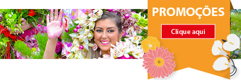 Festa da Flor Madeira 2017