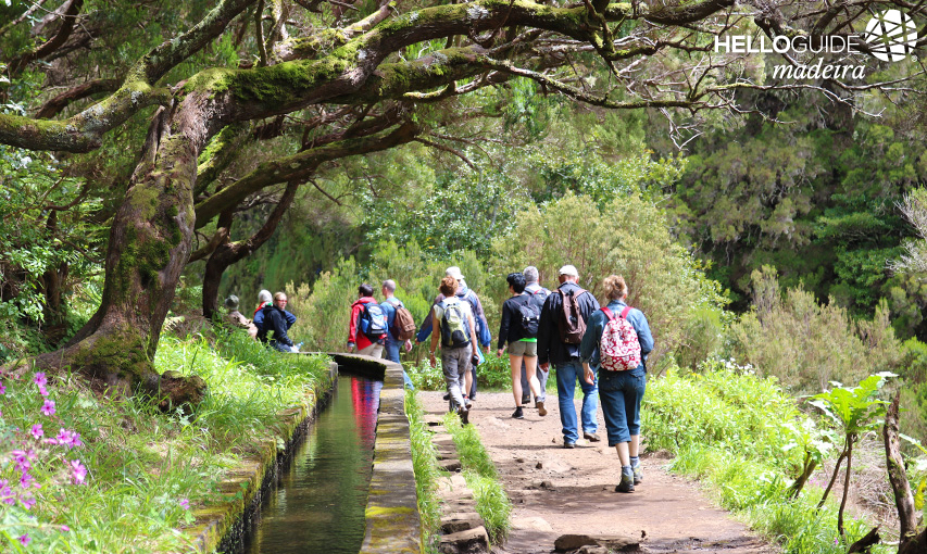 Левада из 25 источников