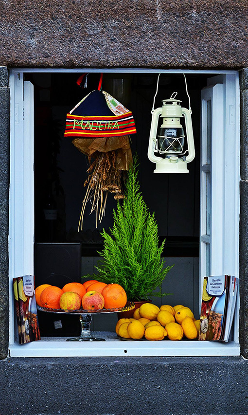 Окно моего города