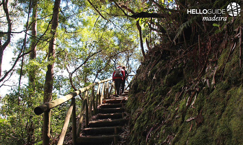 Улицы города