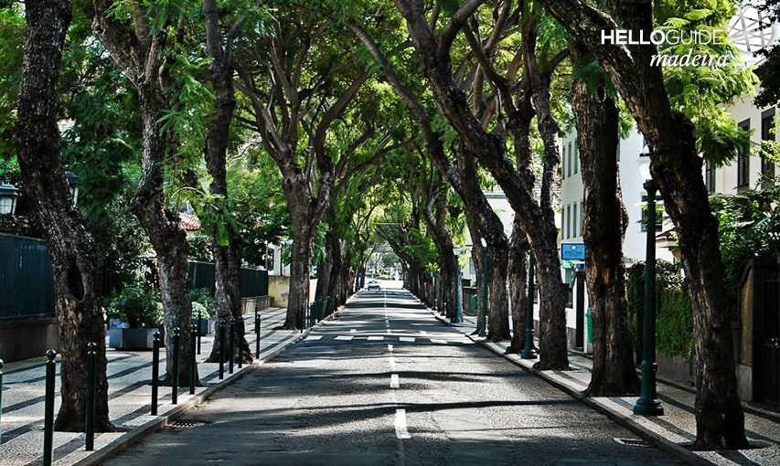 Улицы Фуншала