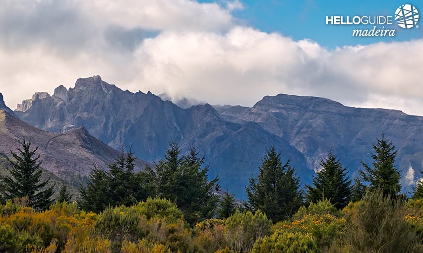 Montañas de Madeira