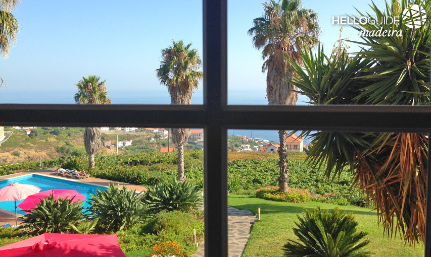 Der Blick aus meinem Fenster