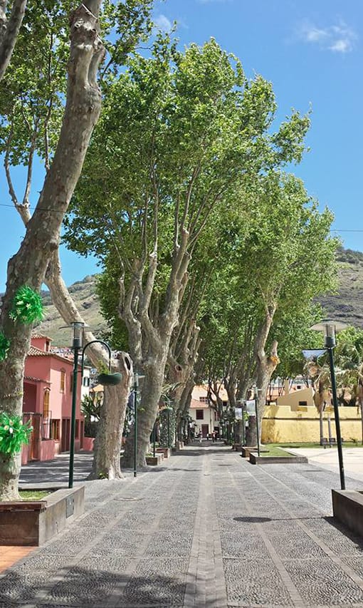 На улицах Машику