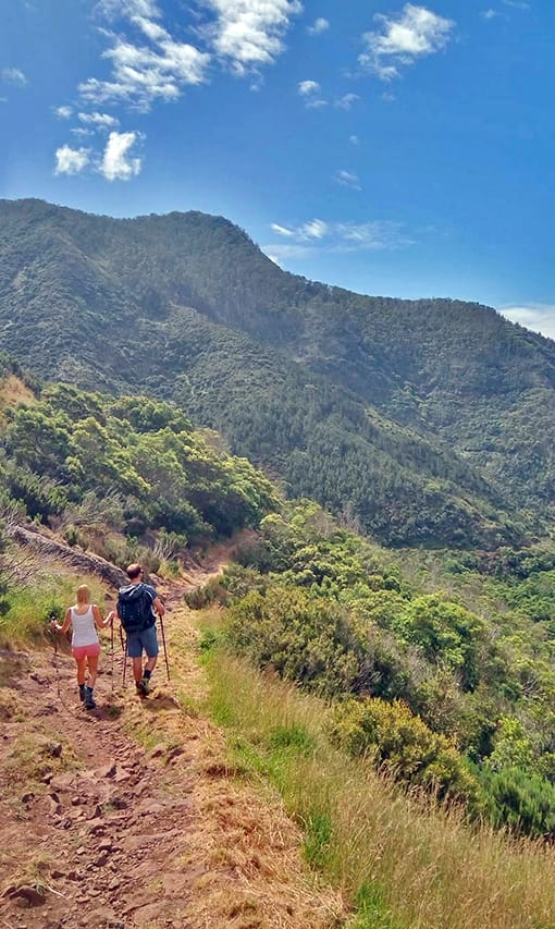 Прогулка по холмам