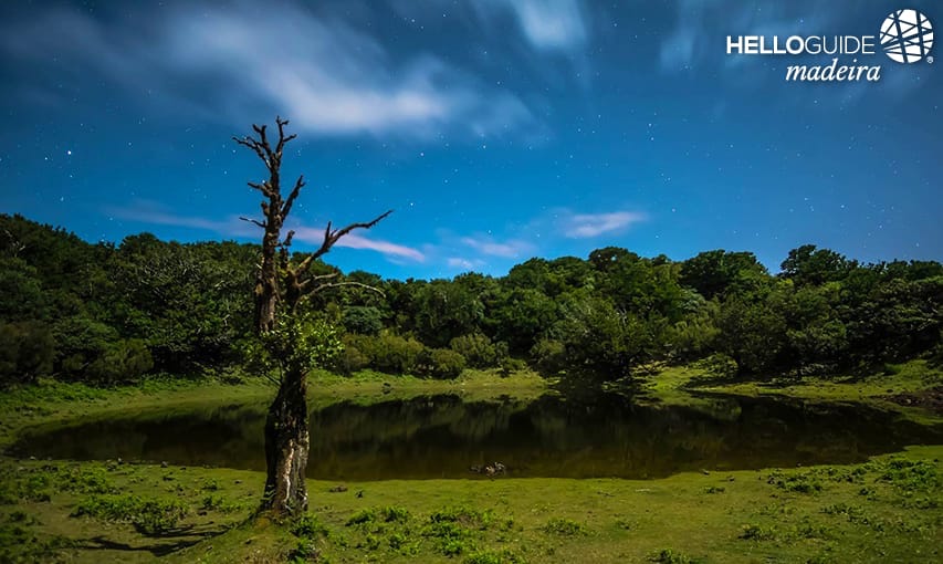 Fanal в лунную ночь