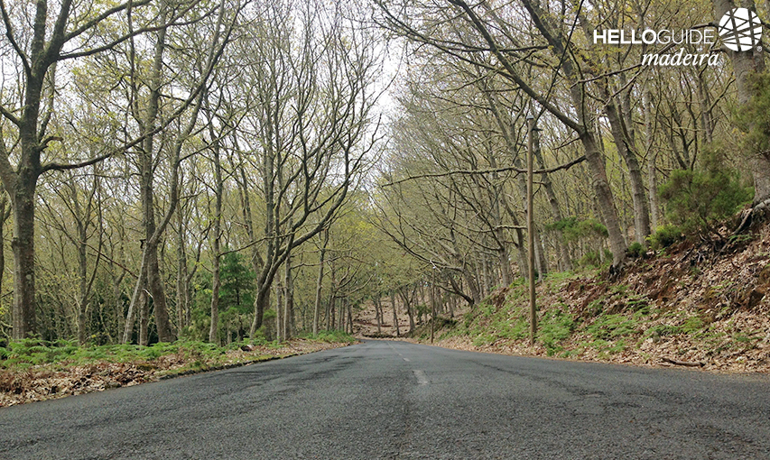 Дороги Маdeira
