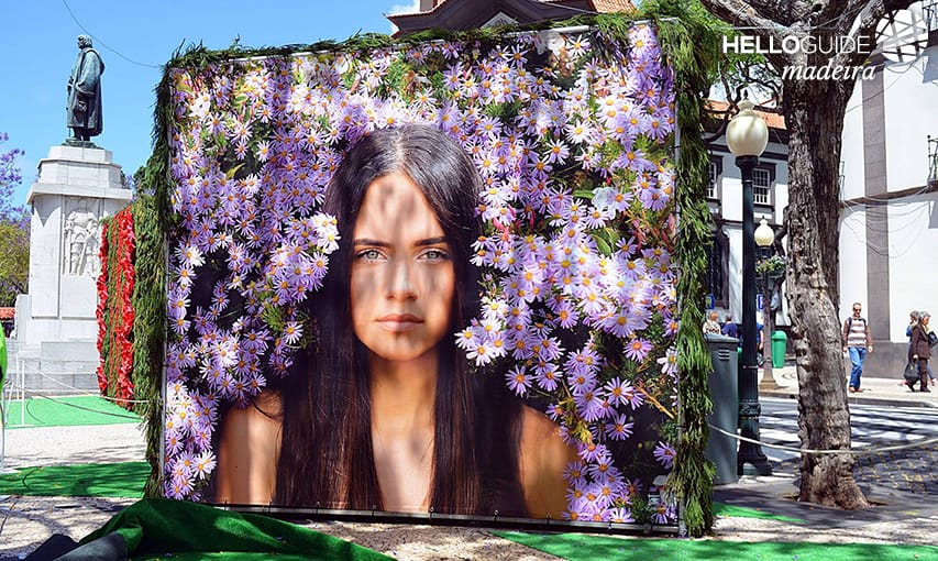 Красота цветов в Funchal