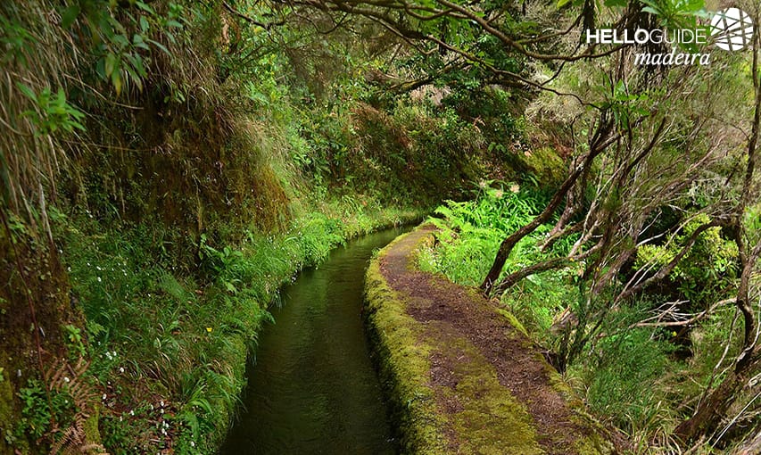 Levadas from Madeira