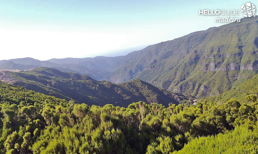 The green of the hills