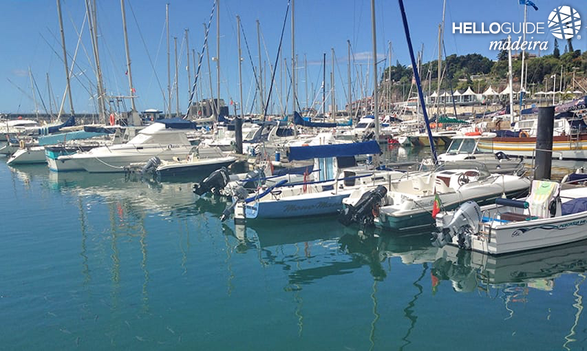 In the Funchal Marina