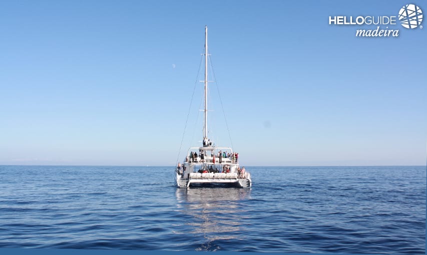 Rouler dans les mers de Madère