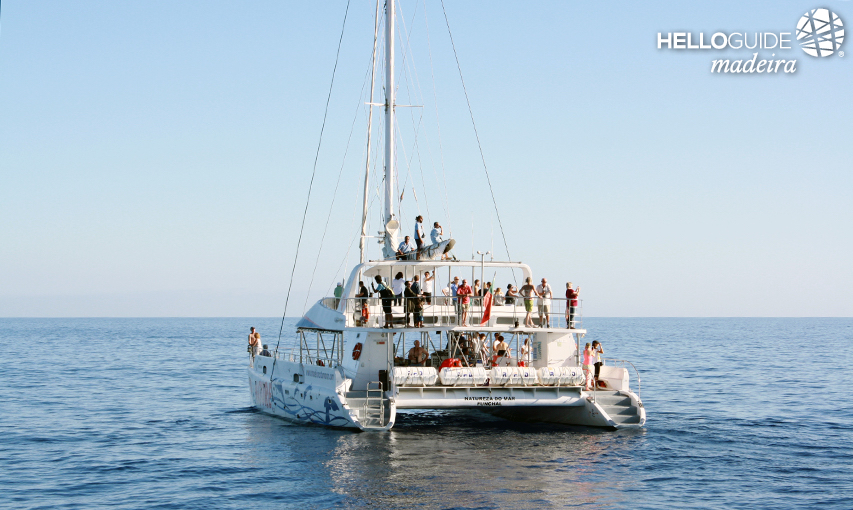 В морях острова Мадейра