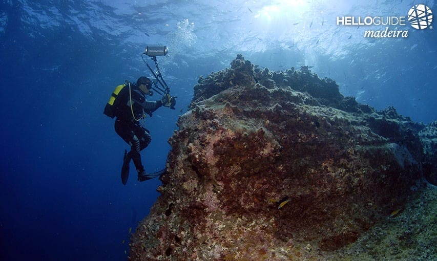 Дайвинг в Мадейре