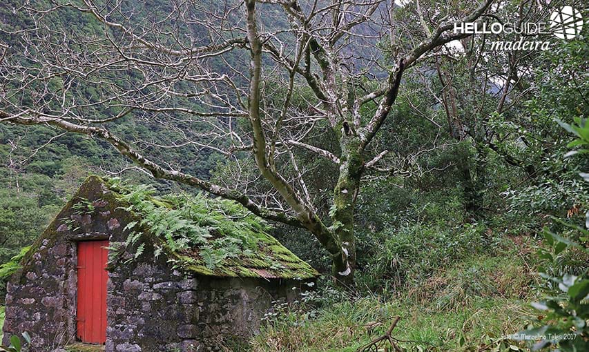 В середине природы