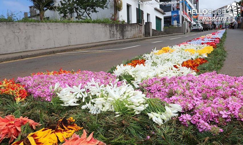 Traditions of Santana