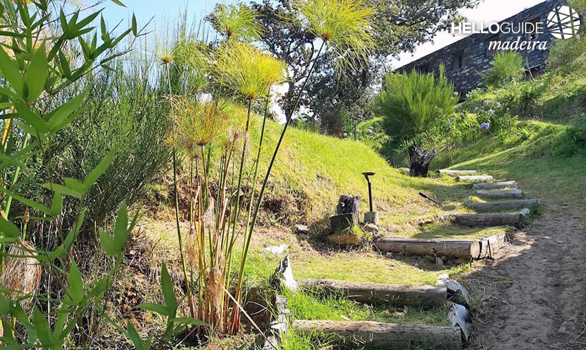 Nature in Ponta do Pargo