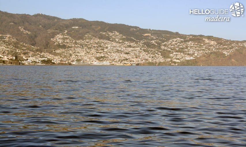 Madeira Island in sight