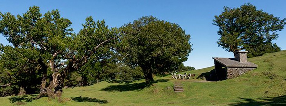 Ишпасу дэ Лазэр (Место досуга) ду Фанал