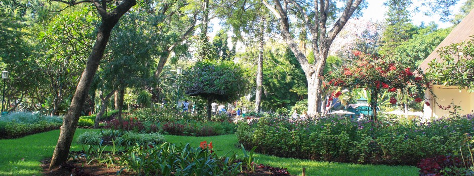 Stadtgarten von Funchal