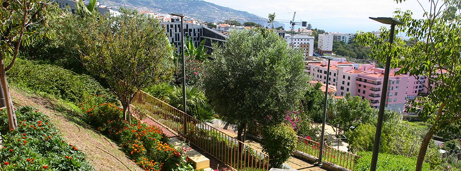 Jardim de São Martinho