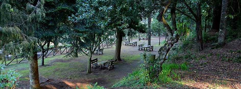 Waldpark von Pico das Pedras