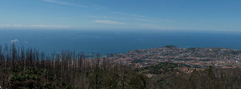 Mirador de Terreiro da Luta