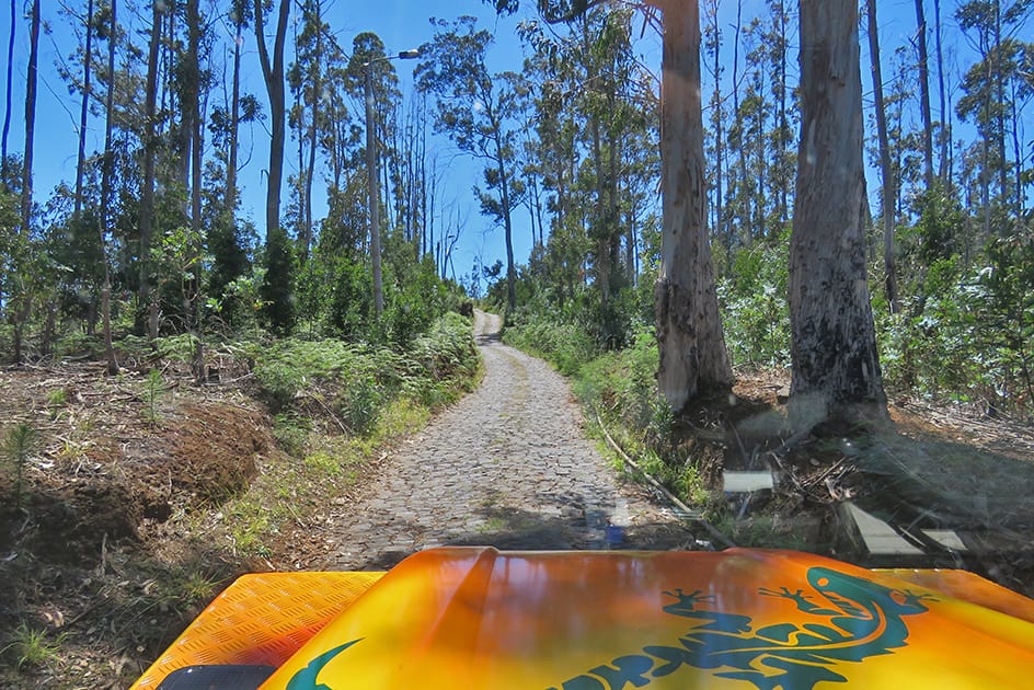 Madeira Island Tour to Santo da Serra - Rising sun