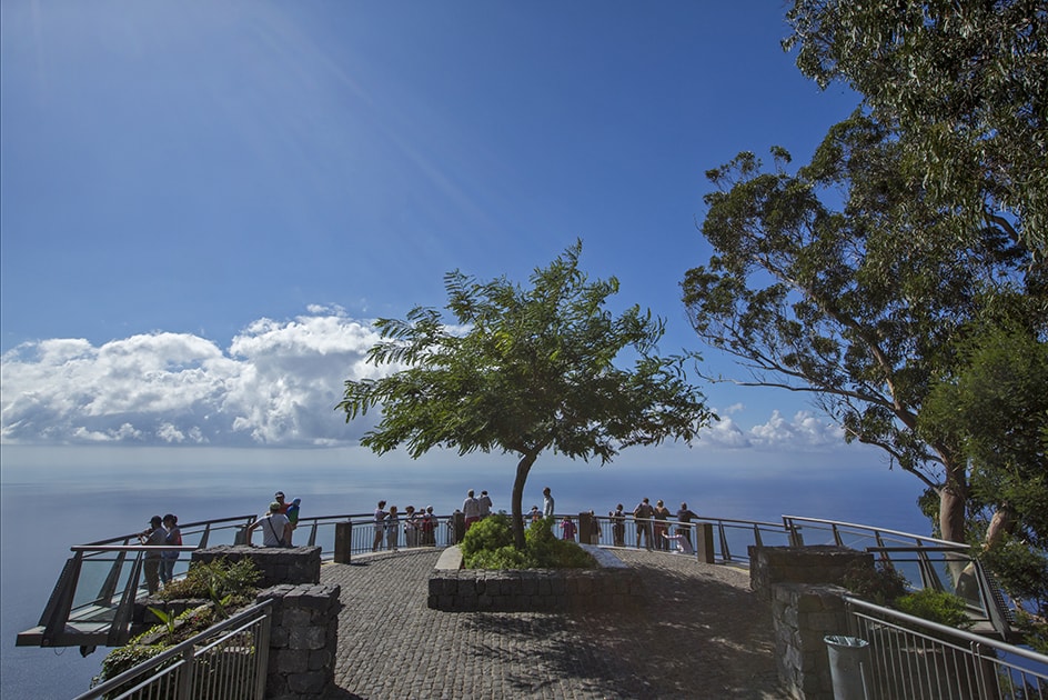 Jeep Safari tour and whale watching Madeira