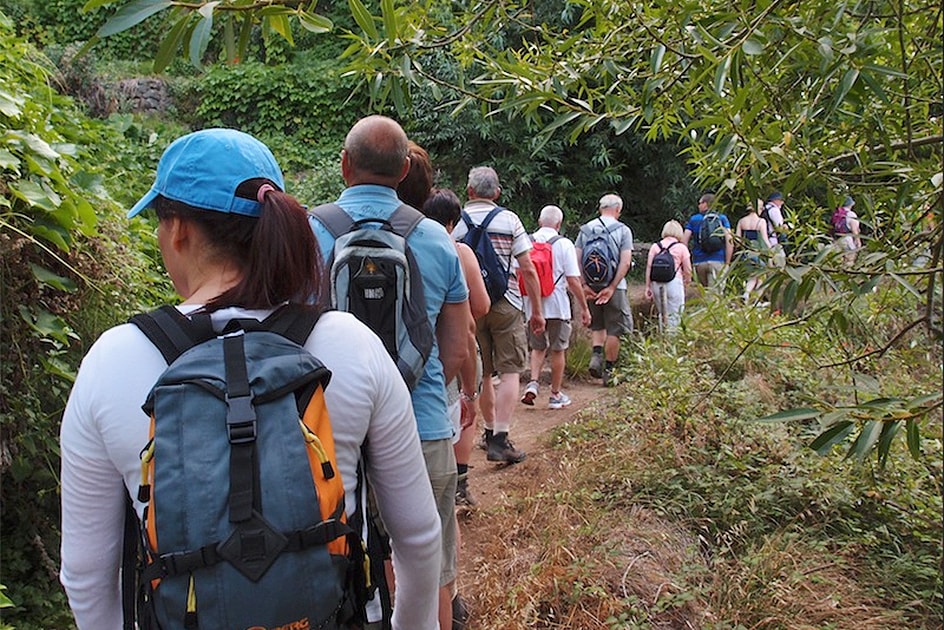 Walk on the Levada do Norte 6 km 