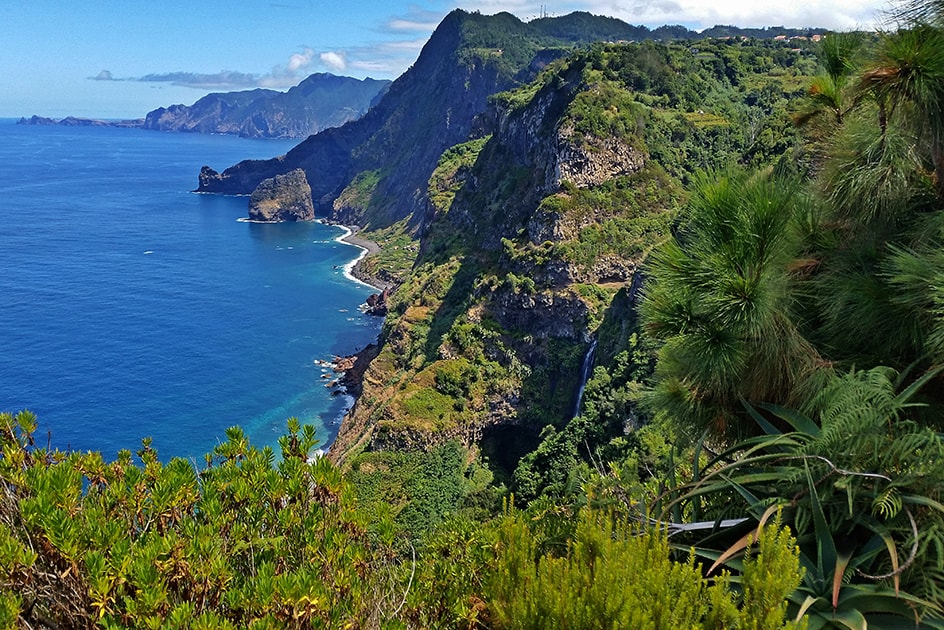 Walk on the Levada da Serra 6km 