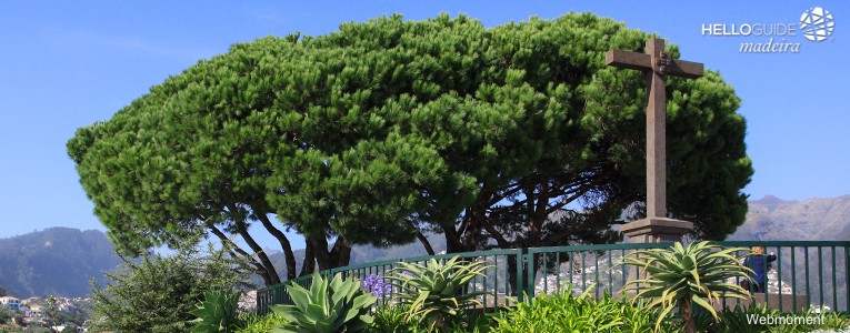 miradouro pico dos barcelos madeira helloguide 02