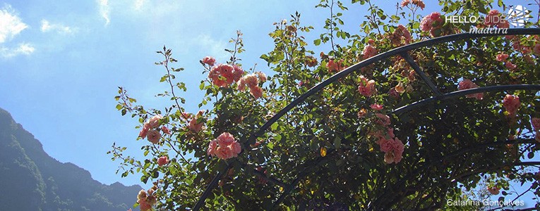 roseiral quinta do arco madeira helloguide 01