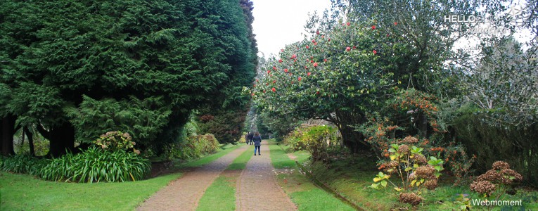 Jardim da Quinta da Junta - Madeira Portugal