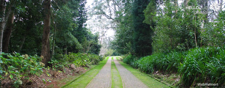 jardim quinta junta madeira helloguide 03